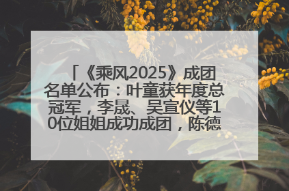 《乘风2025》成团名单公布：叶童获年度总冠军，李晟、吴宣仪等10位姐姐成功成团，陈德容获年度高光人物