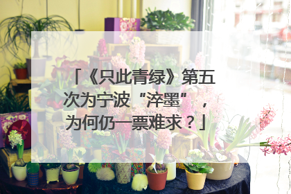 《只此青绿》第五次为宁波“淬墨”，为何仍一票难求？