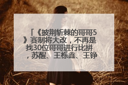 《披荆斩棘的哥哥5》赛制将大改，不再是找30位哥哥进行比拼，苏醒、王栎鑫、王铮亮、张远等多名男团选手被曝将参加