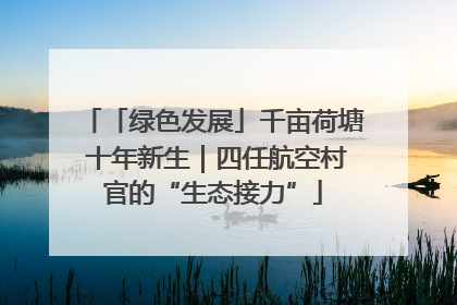 「绿色发展」千亩荷塘 十年新生｜四任航空村官的“生态接力”