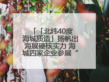 「北纬40度 海城质造」扬帆出海展硬核实力 海城四家企业参展“中东欧”展览会