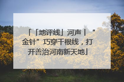 「地评线」河声丨“金针”巧穿千根线，打开善治河南新天地