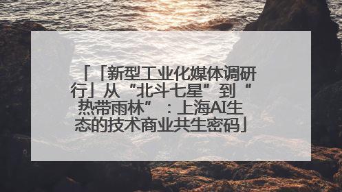 「新型工业化媒体调研行」从“北斗七星”到“热带雨林”：上海AI生态的技术商业共生密码