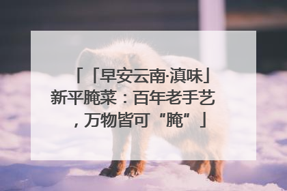 「早安云南·滇味」新平腌菜：百年老手艺，万物皆可“腌”