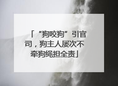 “狗咬狗”引官司，狗主人屡次不牵狗绳担全责