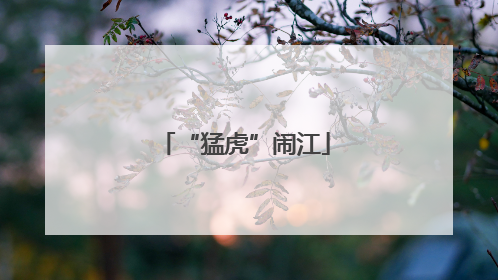“猛虎”闹江