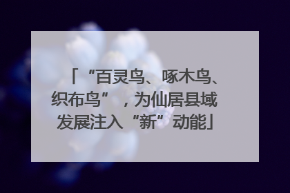 “百灵鸟、啄木鸟、织布鸟”，为仙居县域发展注入“新”动能