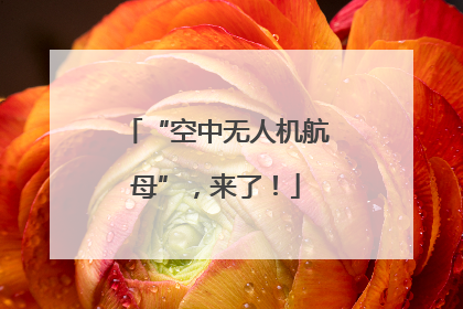 “空中无人机航母”，来了！