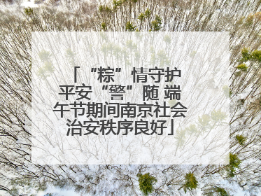 “粽”情守护 平安“警”随 端午节期间南京社会治安秩序良好