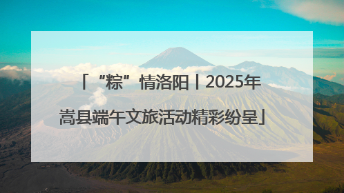 “粽”情洛阳丨2025年嵩县端午文旅活动精彩纷呈