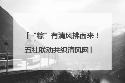 “粽”有清风拂面来！五社联动共织清风网
