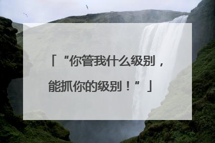 “你管我什么级别，能抓你的级别！”