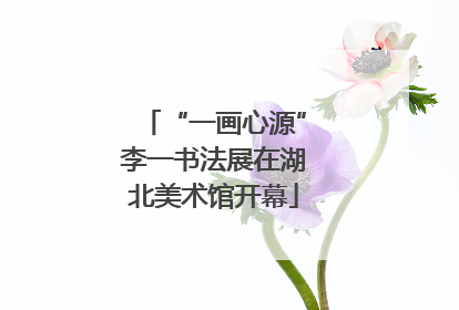 “一画心源”李一书法展在湖北美术馆开幕