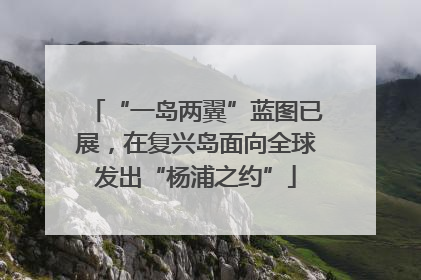 “一岛两翼”蓝图已展，在复兴岛面向全球发出“杨浦之约”