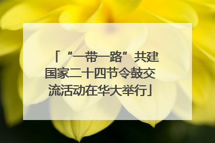 “一带一路”共建国家二十四节令鼓交流活动在华大举行
