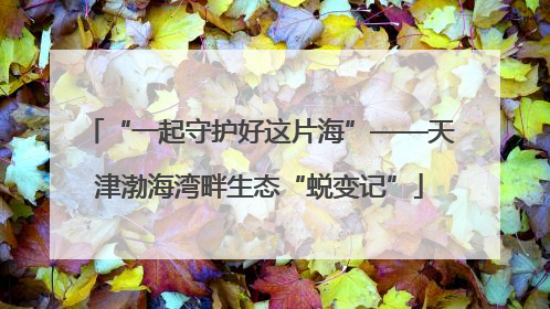 “一起守护好这片海”——天津渤海湾畔生态“蜕变记”