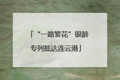 “一路繁花”银龄专列抵达连云港