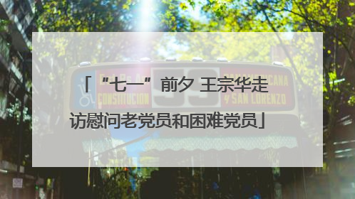“七一”前夕 王宗华走访慰问老党员和困难党员