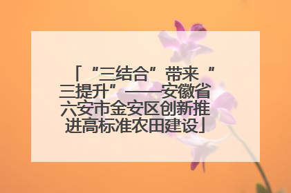 “三结合”带来“三提升”——安徽省六安市金安区创新推进高标准农田建设