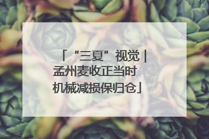 “三夏”视觉｜孟州麦收正当时 机械减损保归仓
