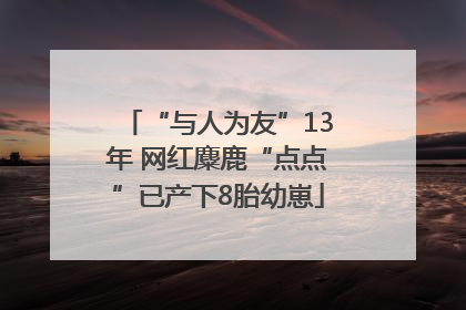 “与人为友”13年 网红麋鹿“点点”已产下8胎幼崽