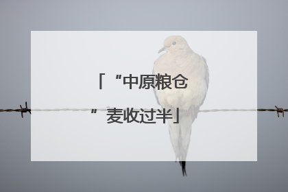 “中原粮仓”麦收过半