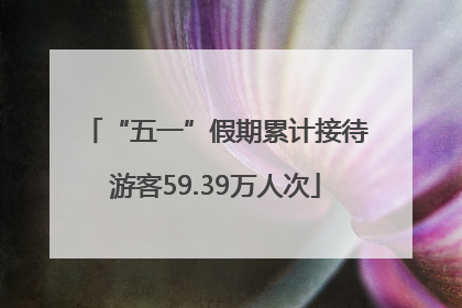 “五一”假期累计接待游客59.39万人次