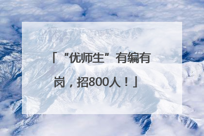 “优师生”有编有岗，招800人！