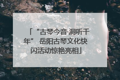 “古琴今音·洞听千年” 岳阳古琴文化快闪活动惊艳亮相