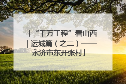 “千万工程”看山西｜运城篇（之二）——永济市东开张村
