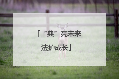 “典”亮未来 法护成长