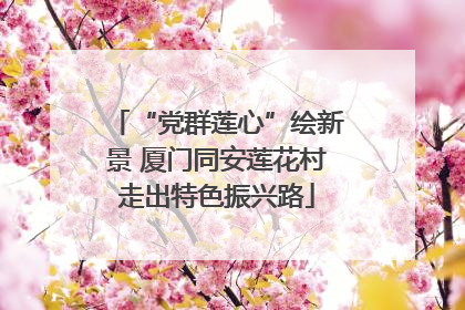 “党群莲心”绘新景 厦门同安莲花村走出特色振兴路