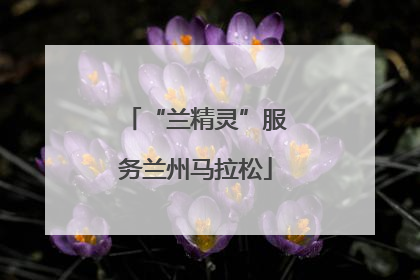 “兰精灵”服务兰州马拉松