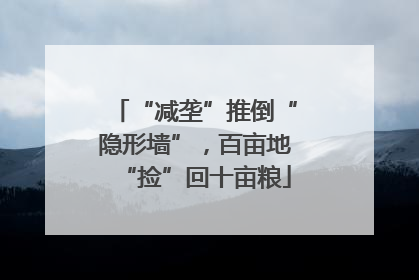 “减垄”推倒“隐形墙”，百亩地“捡”回十亩粮