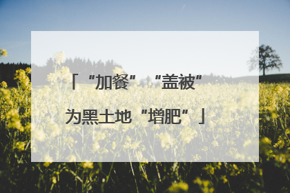 “加餐”“盖被” 为黑土地“增肥”