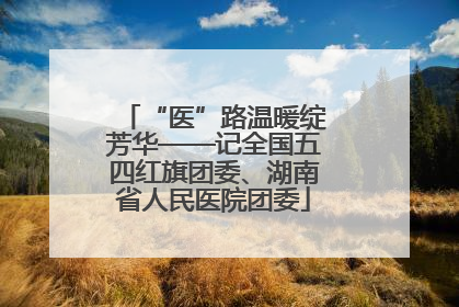 “医”路温暖绽芳华——记全国五四红旗团委、湖南省人民医院团委