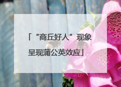 “商丘好人”现象呈现蒲公英效应