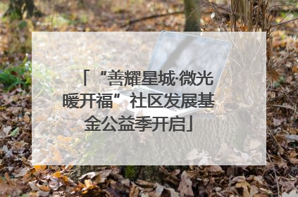 “善耀星城·微光暖开福”社区发展基金公益季开启