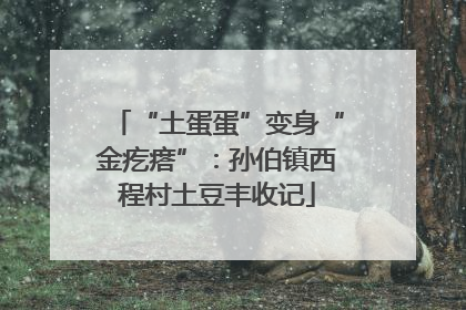 “土蛋蛋”变身“金疙瘩”：孙伯镇西程村土豆丰收记