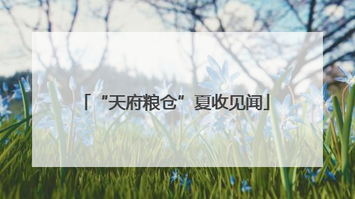 “天府粮仓”夏收见闻