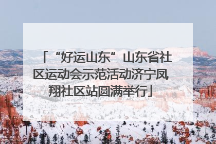 “好运山东”山东省社区运动会示范活动济宁凤翔社区站圆满举行