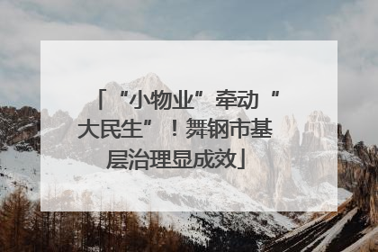 “小物业”牵动“大民生”！舞钢市基层治理显成效