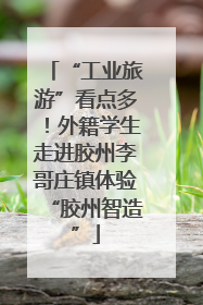 “工业旅游”看点多！外籍学生走进胶州李哥庄镇体验“胶州智造”