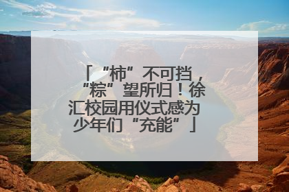 “柿”不可挡，“粽”望所归！徐汇校园用仪式感为少年们“充能”