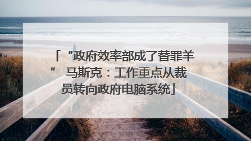 “政府效率部成了替罪羊” 马斯克：工作重点从裁员转向政府电脑系统
