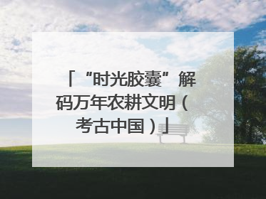 “时光胶囊”解码万年农耕文明（考古中国）