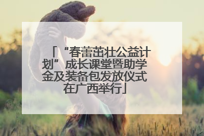 “春蕾茁壮公益计划”成长课堂暨助学金及装备包发放仪式在广西举行
