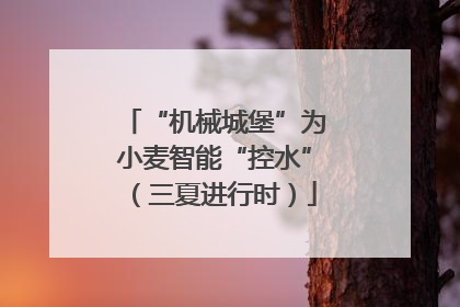 “机械城堡”为小麦智能“控水”（三夏进行时）