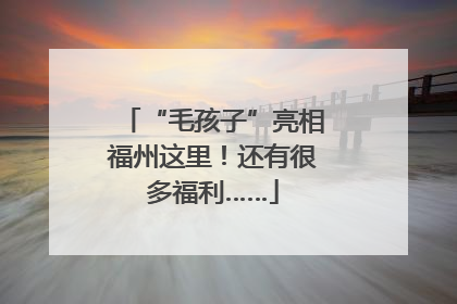 “毛孩子”亮相福州这里！还有很多福利……