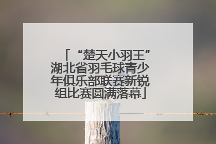 “楚天小羽王”湖北省羽毛球青少年俱乐部联赛新锐组比赛圆满落幕